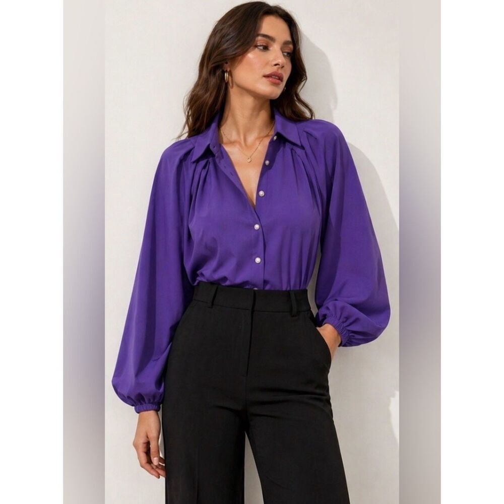 Shein Balloon Sleeve Pleated Blouse